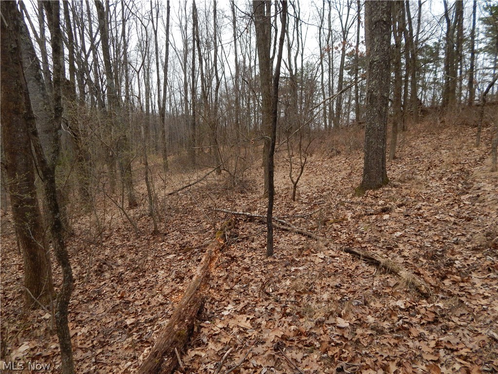 0 Pullman Road Harrisville, WV 26362 - Photo 15 of 17