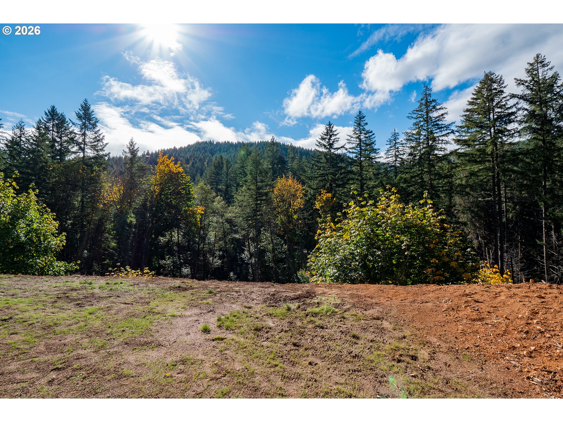 42276 Winberry Creek Road Fall Creek, OR 97438 - Photo 29 of 30 a view of outdoor space and yard
