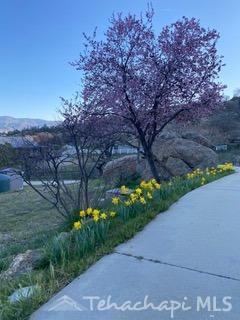 21218 Pine Ridge Drive Tehachapi, CA 93561 - Photo 52 of 62 Gallery Image 52