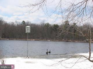 109 3 Bridge Road Shamong, NJ 08088 - Photo 5 of 6