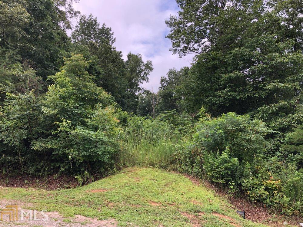 0 Winding Creek Road, Unit LOT 32 Blue Ridge, GA 30513 - Photo 1 of 1