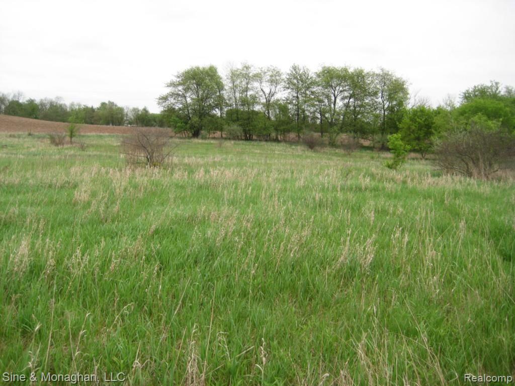 Ssss Ssss Washburn Road Grass Lake, MI 49240 - Photo 2 of 5