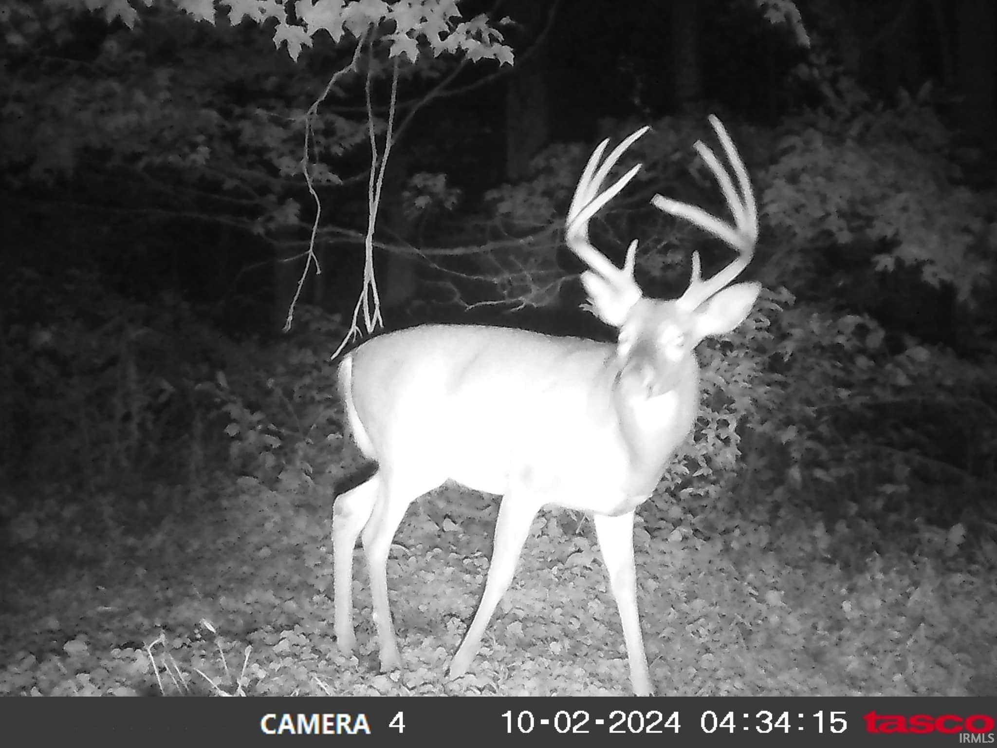 Tbd Newark Road Solsberry, IN 47459 - Photo 25 of 28