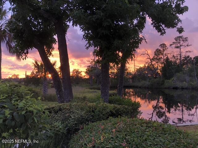 24631 Deer Trace Drive Ponte Vedra Beach, FL 32082 - Photo 32 of 33 Sunset Lot View