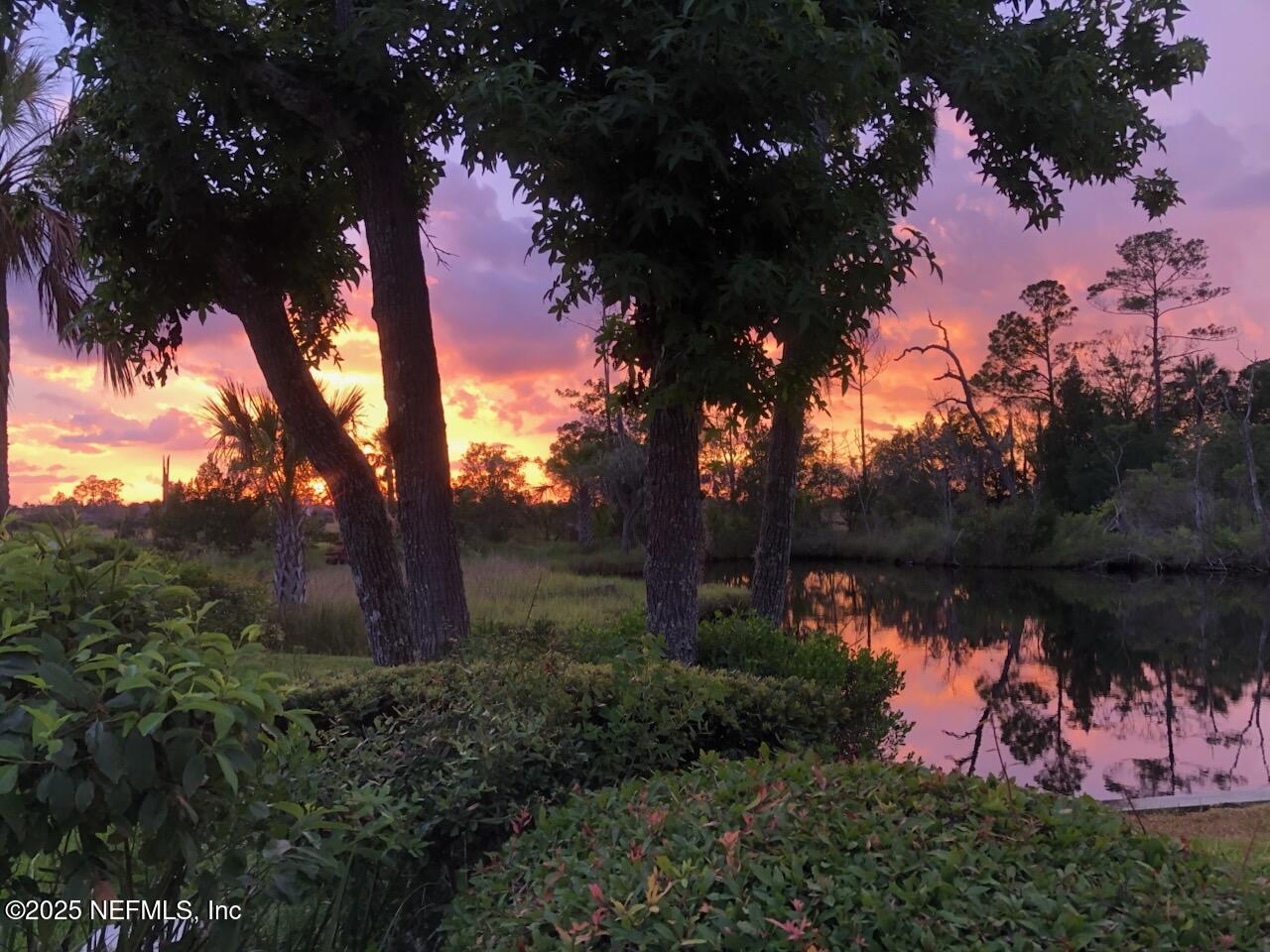 24631 Deer Trace Drive Ponte Vedra Beach, FL 32082 - Photo 5 of 33 a lake view with palm trees