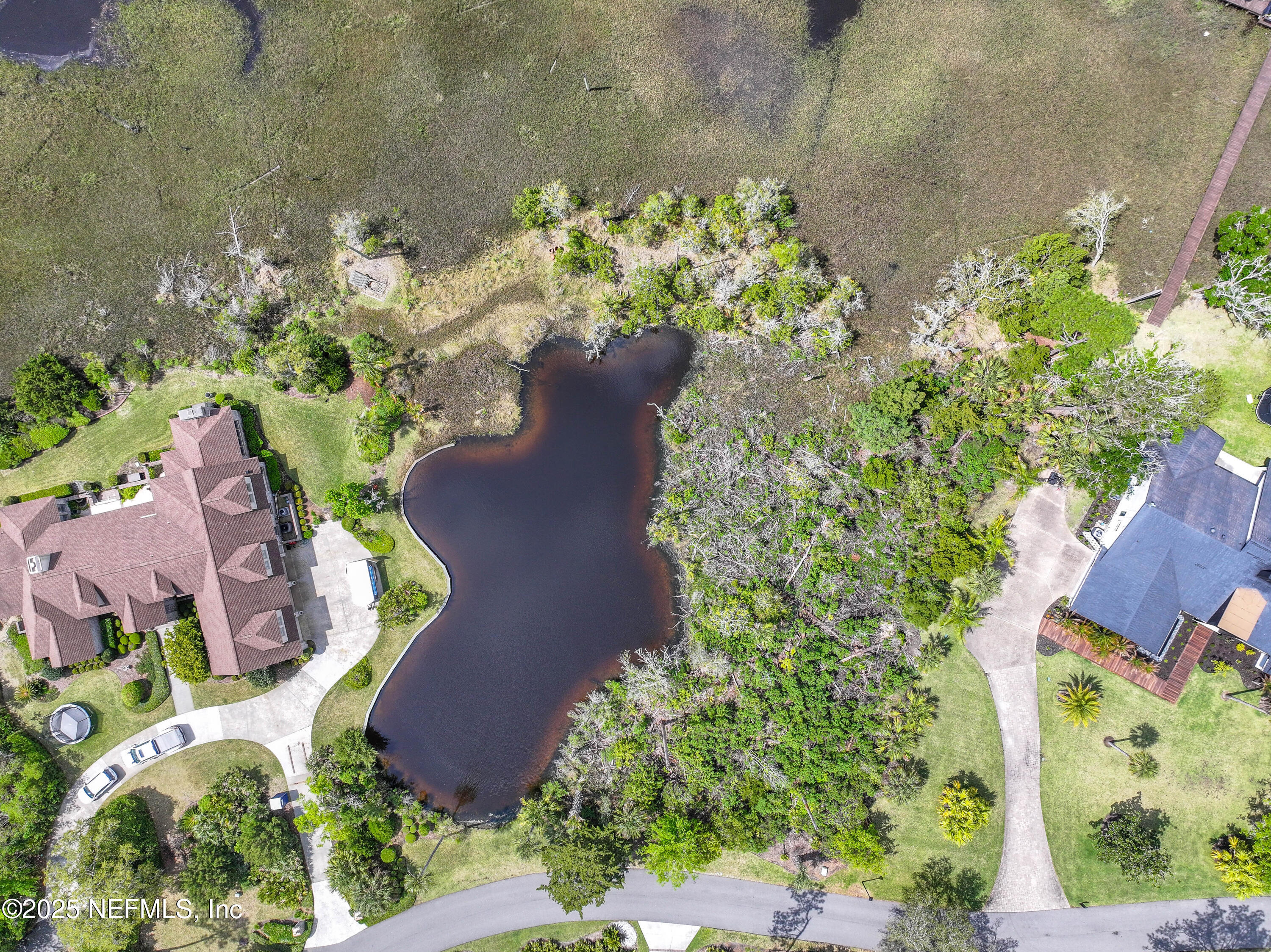 24631 Deer Trace Drive Ponte Vedra Beach, FL 32082 - Photo 7 of 33 a picture of flowers