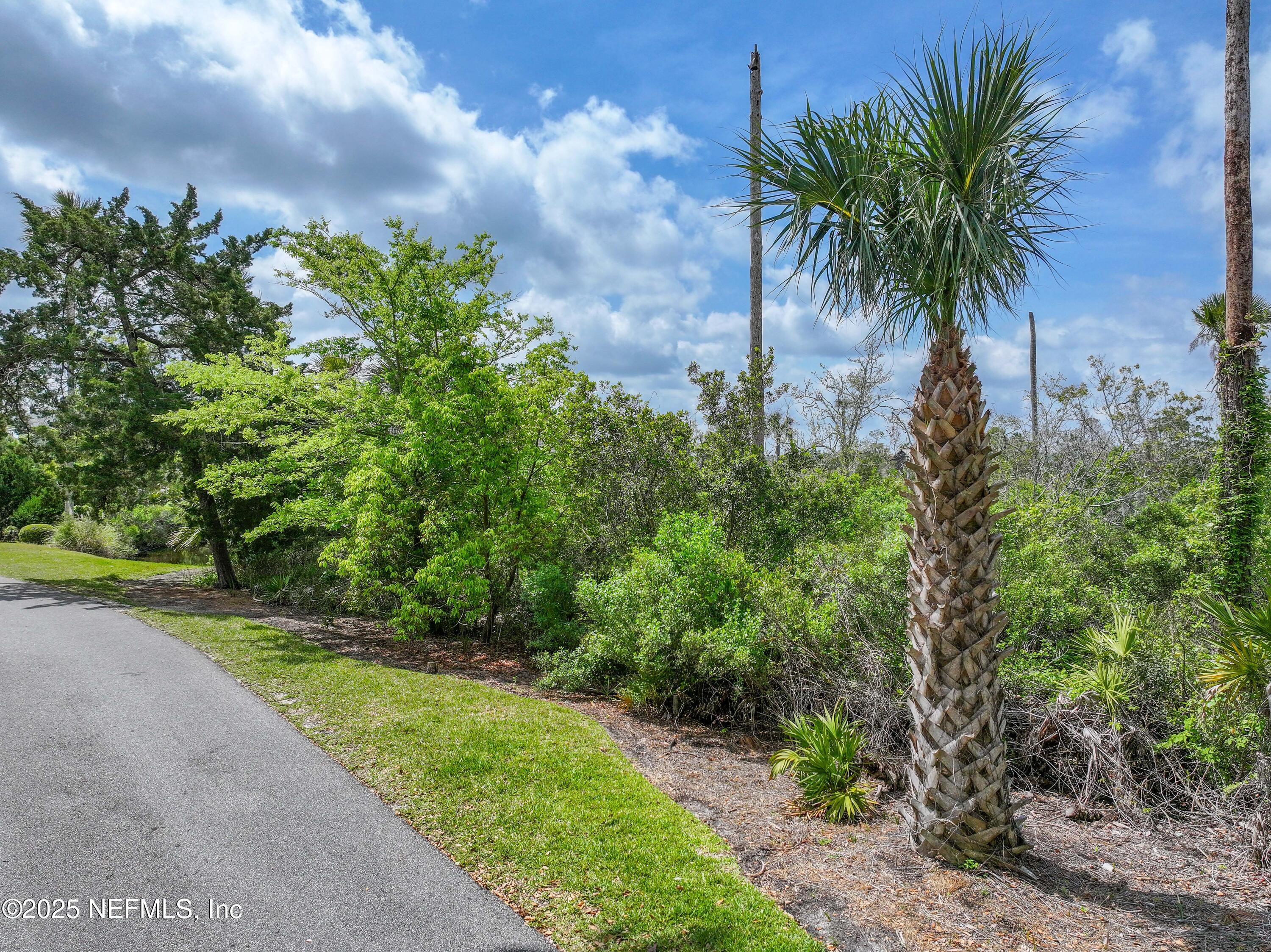 24631 Deer Trace Drive Ponte Vedra Beach, FL 32082 - Photo 8 of 33 Unmatched Tranquility
