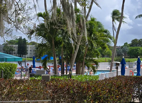 a view of a lake with a big yard