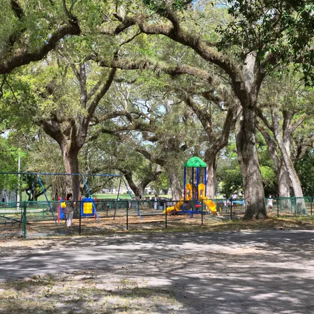 a picture of flowers