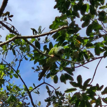 $229,900 | 9440 Live Oak Place, Davie, FL 33324