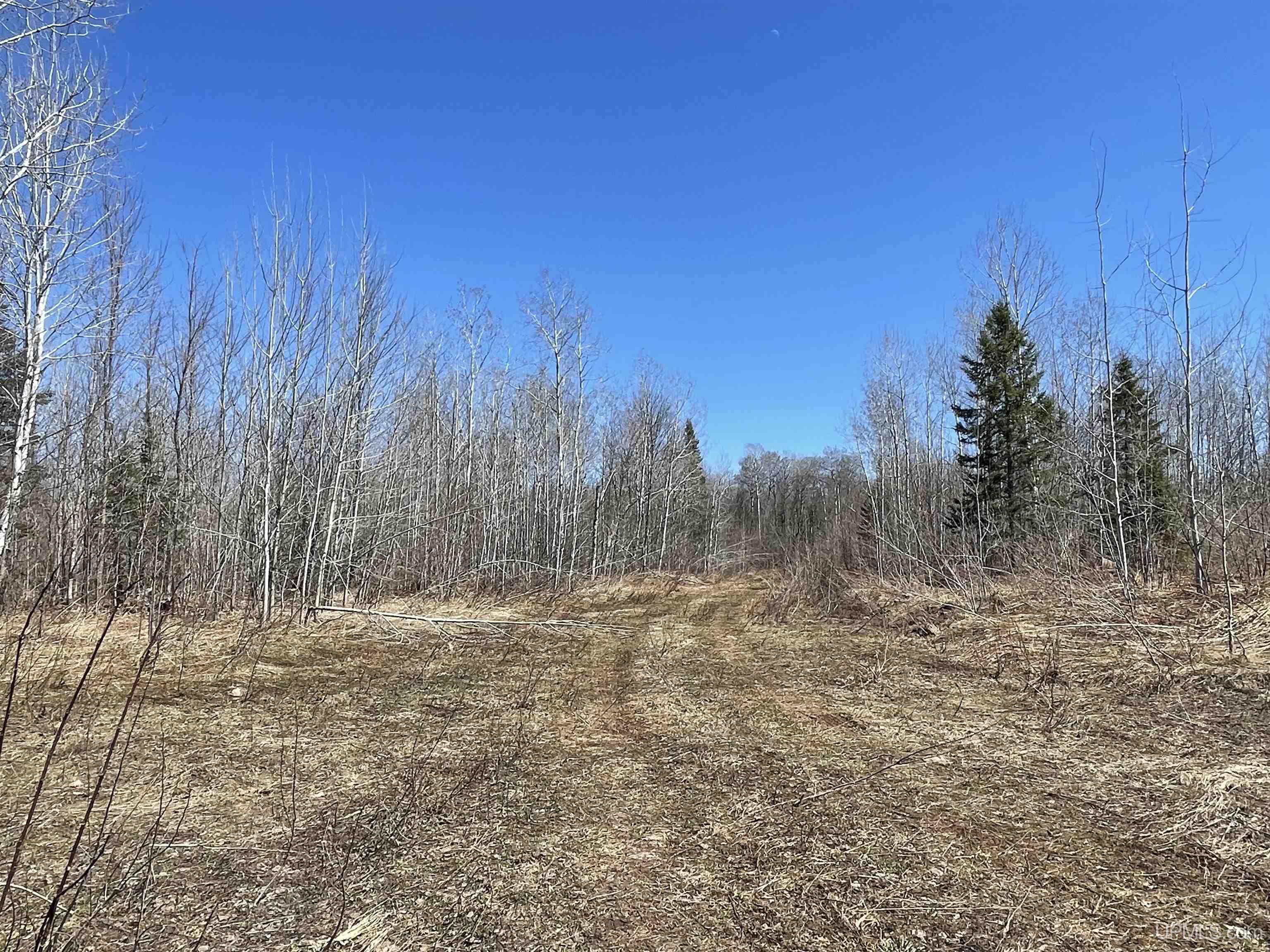 Tbd North County 519 Road Wakefield, MI 49968 - Photo 8 of 18