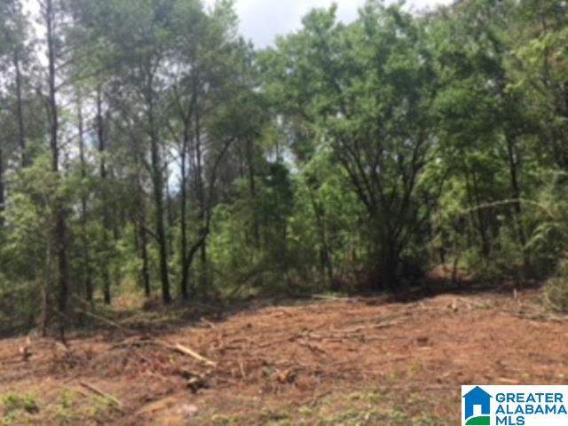 325 Springhill Road, Unit 1 Talladega, AL 35160 - Photo 10 of 31