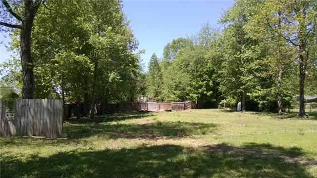 8255 Pinewood Road Nunnelly, TN 37137 - Photo 2 of 13 HUGE Yard