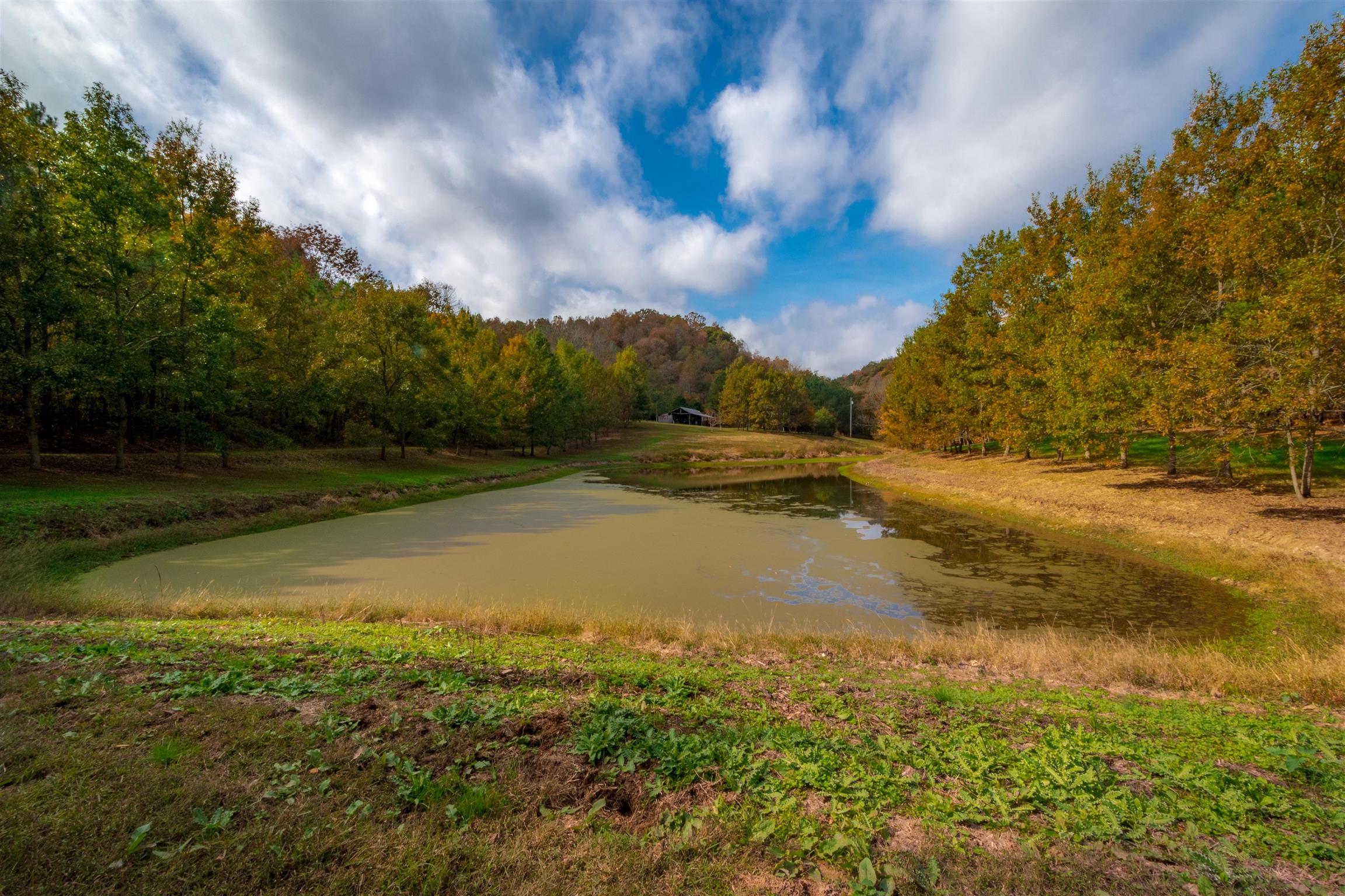 1415 Petty Branch Road Prospect, TN 38477 - Photo 3 of 30