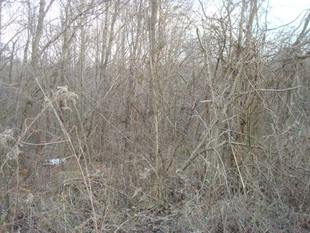 1195 Verona Mt Zion Road Dry Ridge, KY 41035 - Photo 19 of 24
