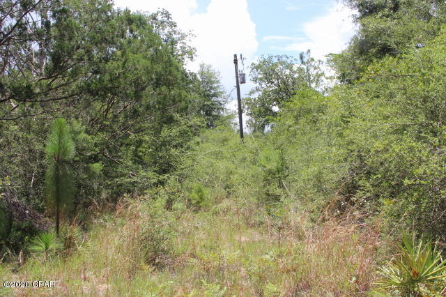 26233 Northwest Walter Potts Road Altha, FL 32421 - Photo 8 of 10 Gallery Image 8