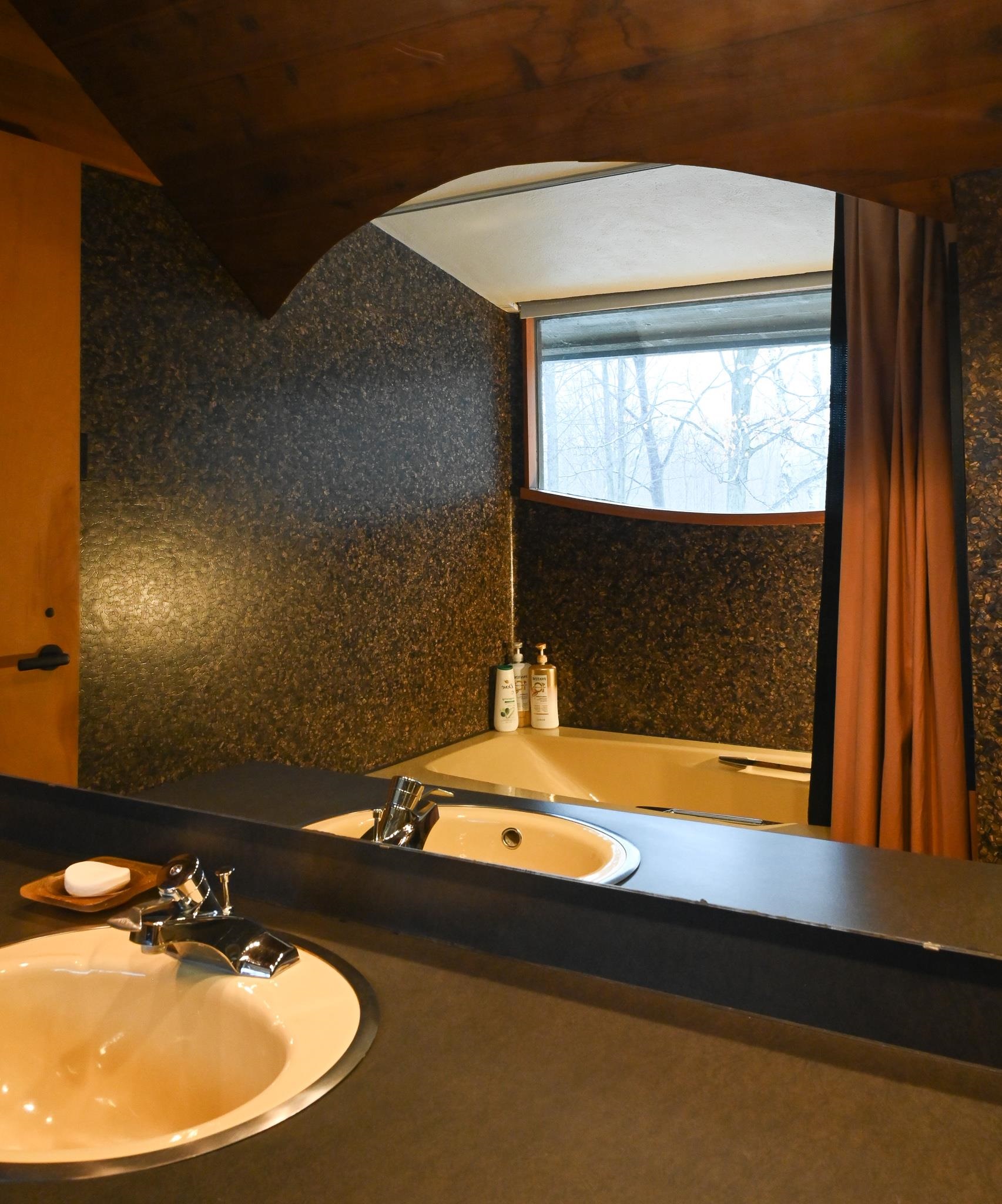 4210 Bluff Lane Cedar, MI 49621 - Photo 60 of 77