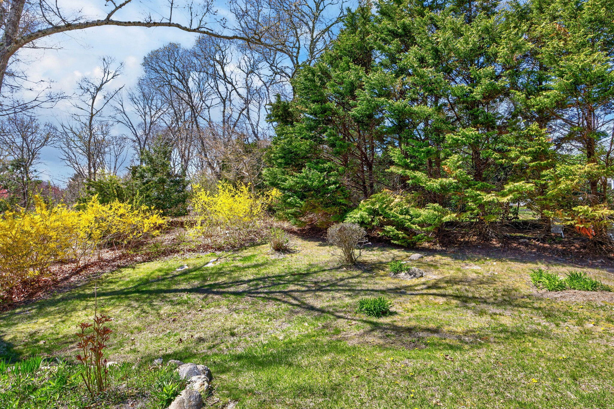 23 Antioch Road Falmouth, MA 02540 - Photo 54 of 69 Yard