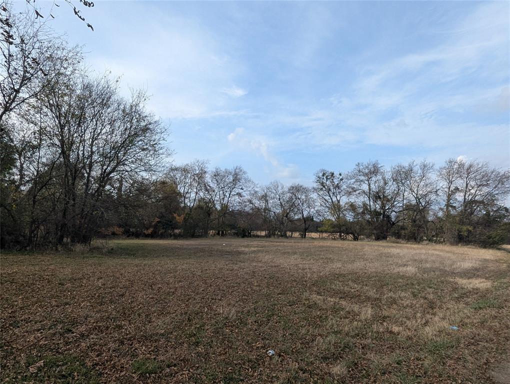 815 Seven Oaks Road Bonham, TX 75418 - Photo 1 of 11 a view of dirt field with trees