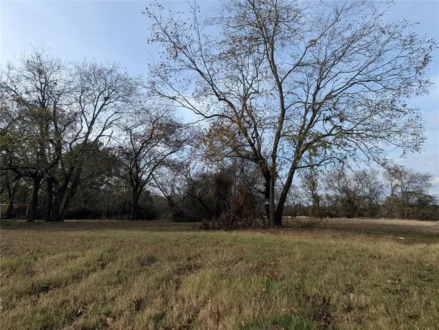 a view of outdoor space with trees