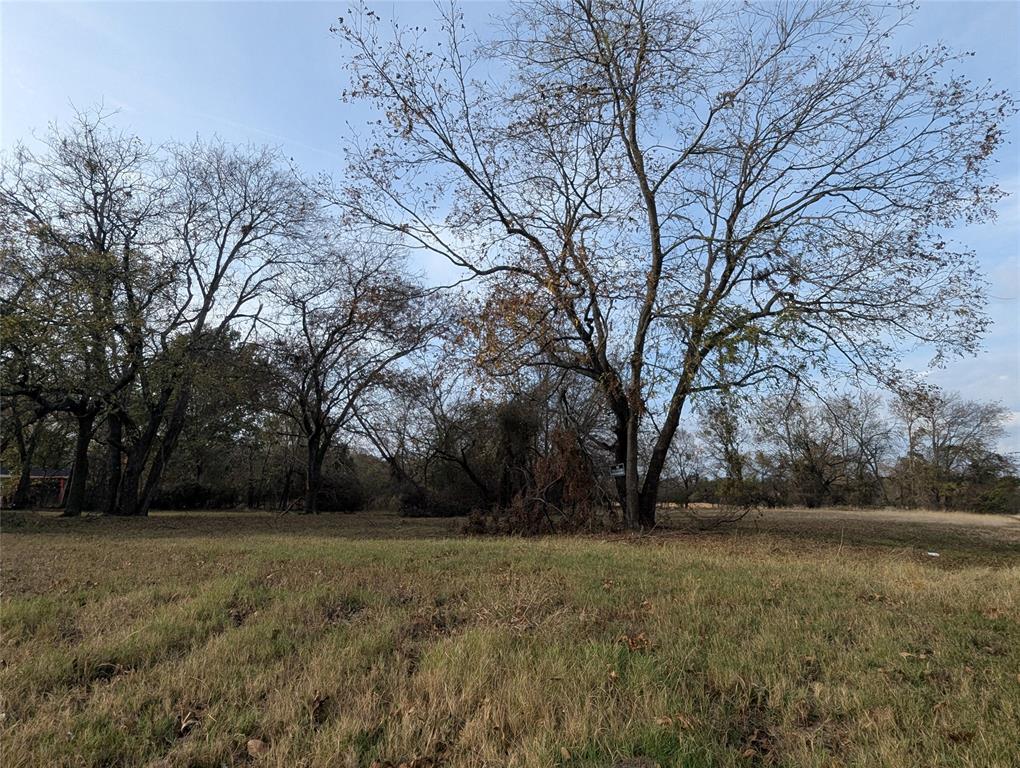 815 Seven Oaks Road Bonham, TX 75418 - Photo 5 of 11 a view of outdoor space with trees