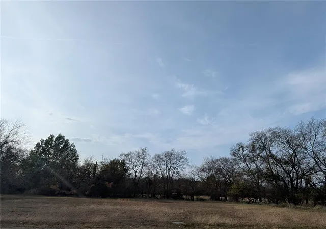 a view of a field with trees in background