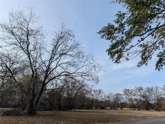 a view of a yard with trees