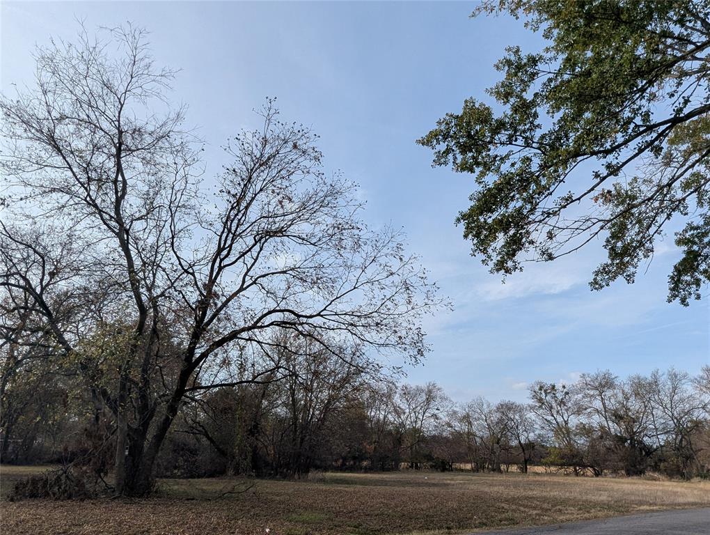 815 Seven Oaks Road Bonham, TX 75418 - Photo 8 of 11 a view of a yard with trees