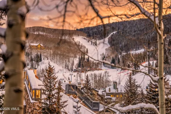 a view of a snow on the tree