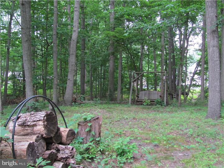 1605 Deacon Road Hainesport, NJ 08036 - Photo 22 of 23 Back Yard