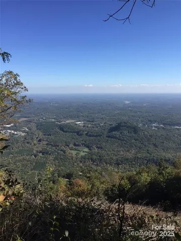 a view of a flower in a garden