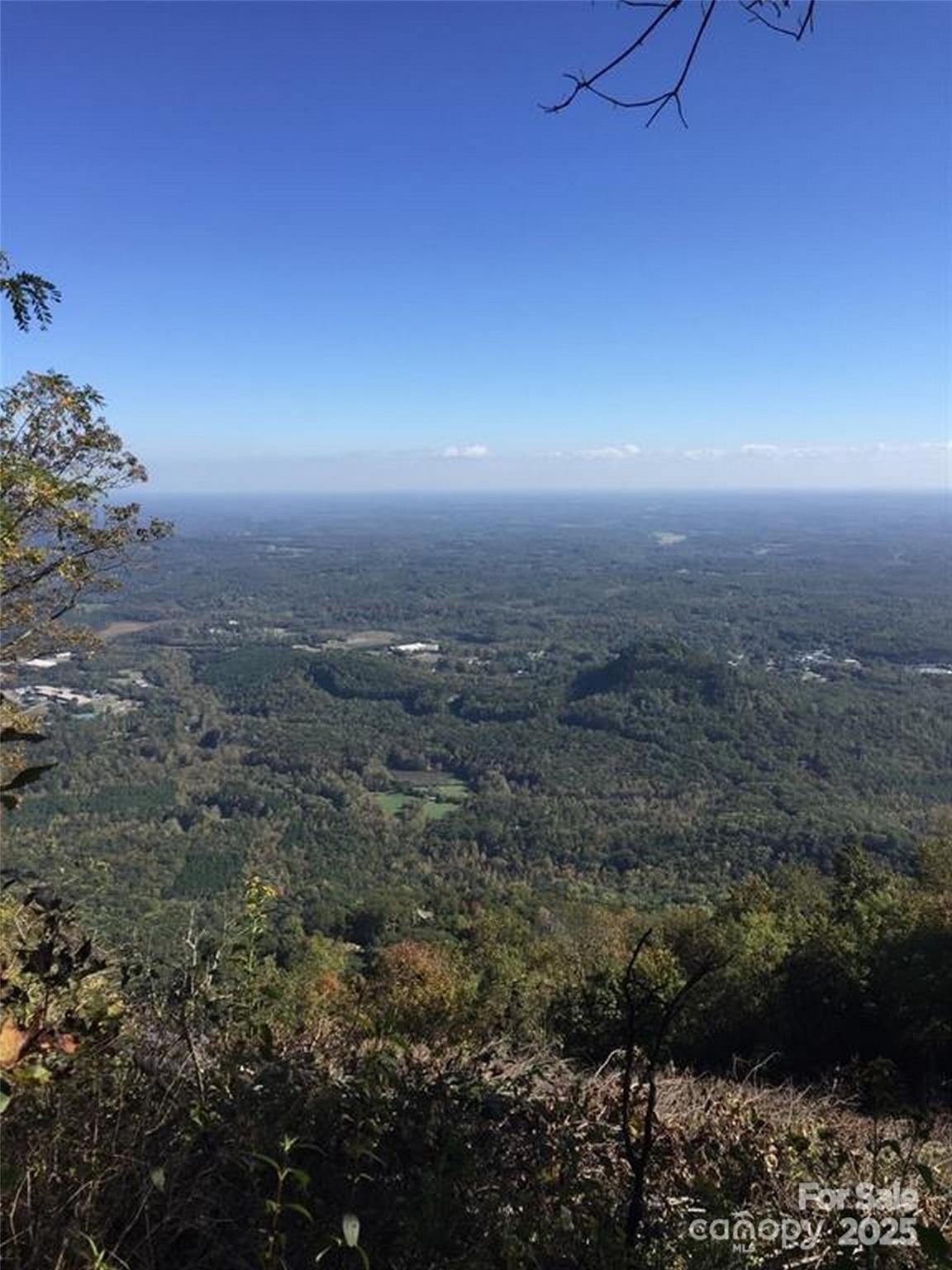 0 Morning Ride Drive, Unit 38 Columbus, NC 28722 - Photo 3 of 8 a view of a city with lush green forest