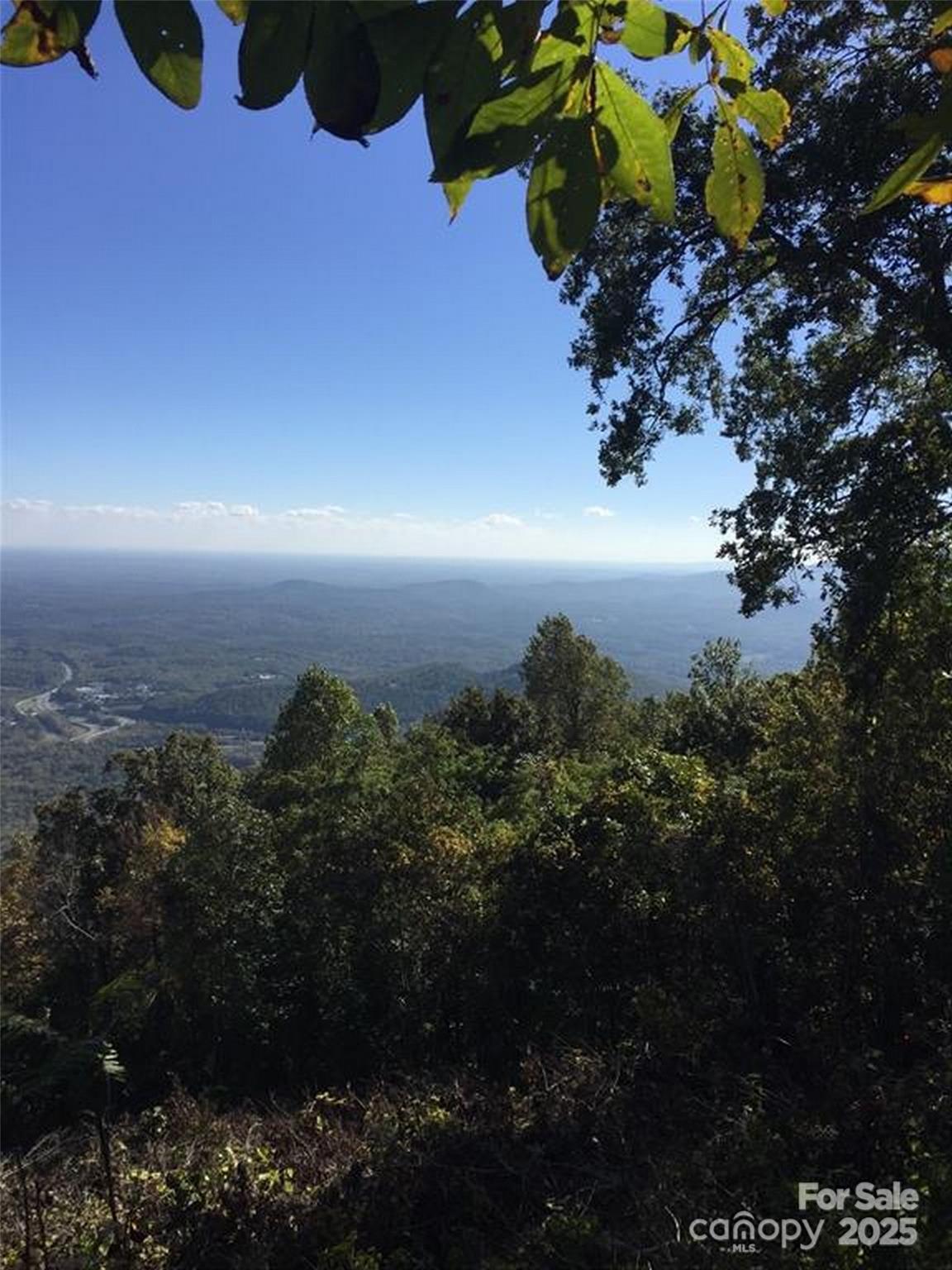 0 Morning Ride Drive, Unit 38 Columbus, NC 28722 - Photo 4 of 8 a view of a flower in a garden