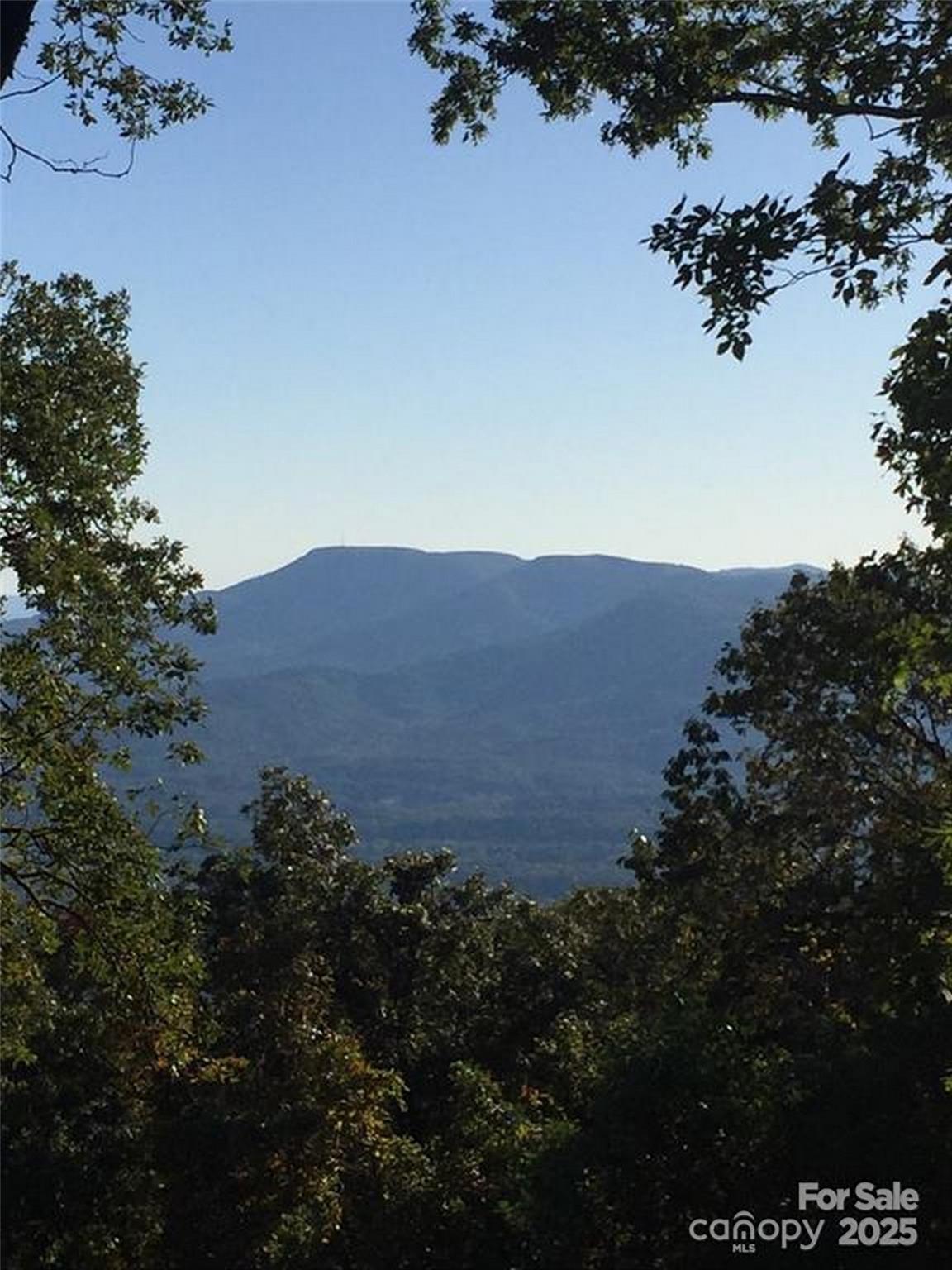 0 Morning Ride Drive, Unit 38 Columbus, NC 28722 - Photo 5 of 8 a view of a house with a street