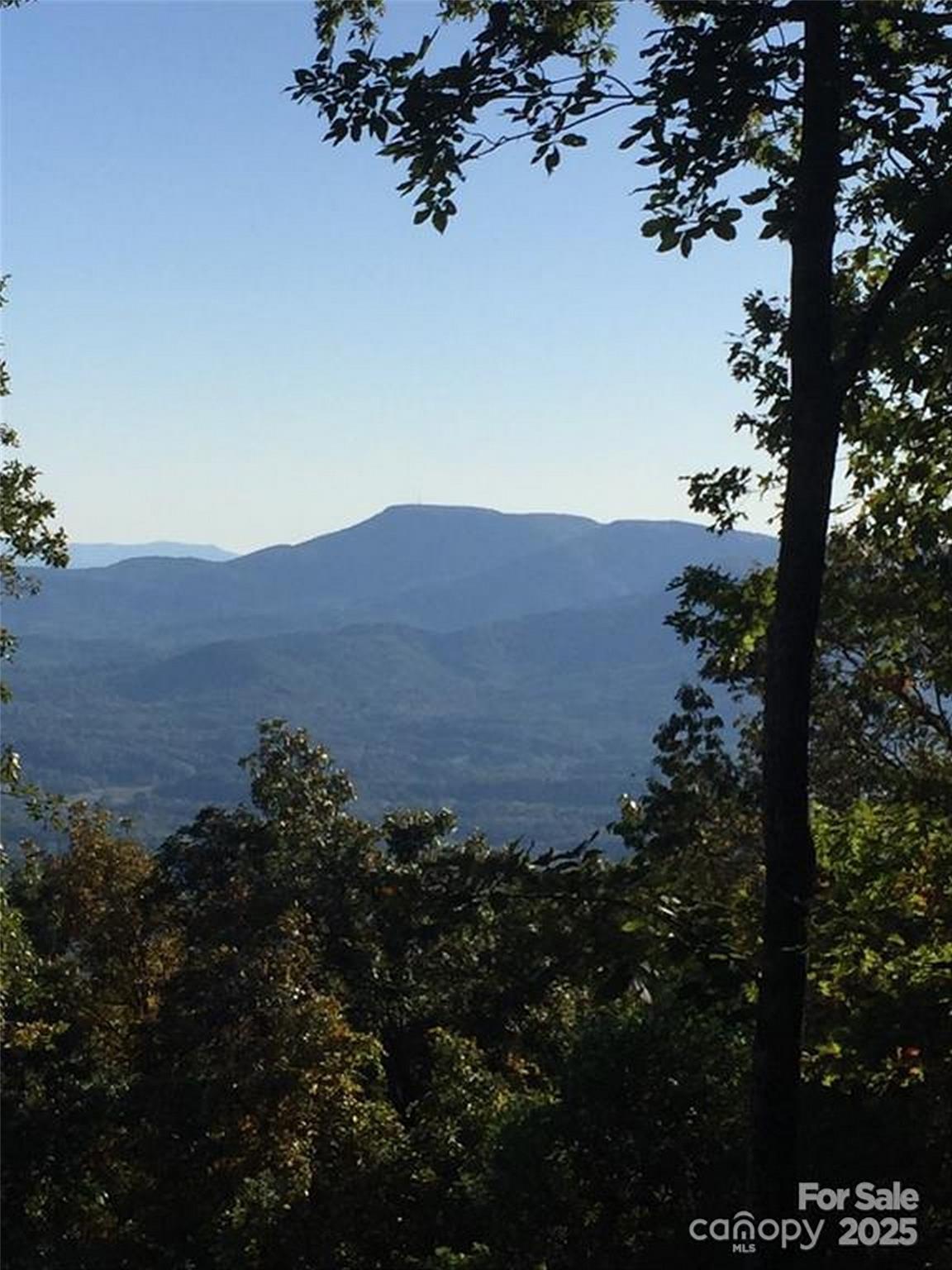0 Morning Ride Drive, Unit 38 Columbus, NC 28722 - Photo 6 of 8 a view of a house with a street