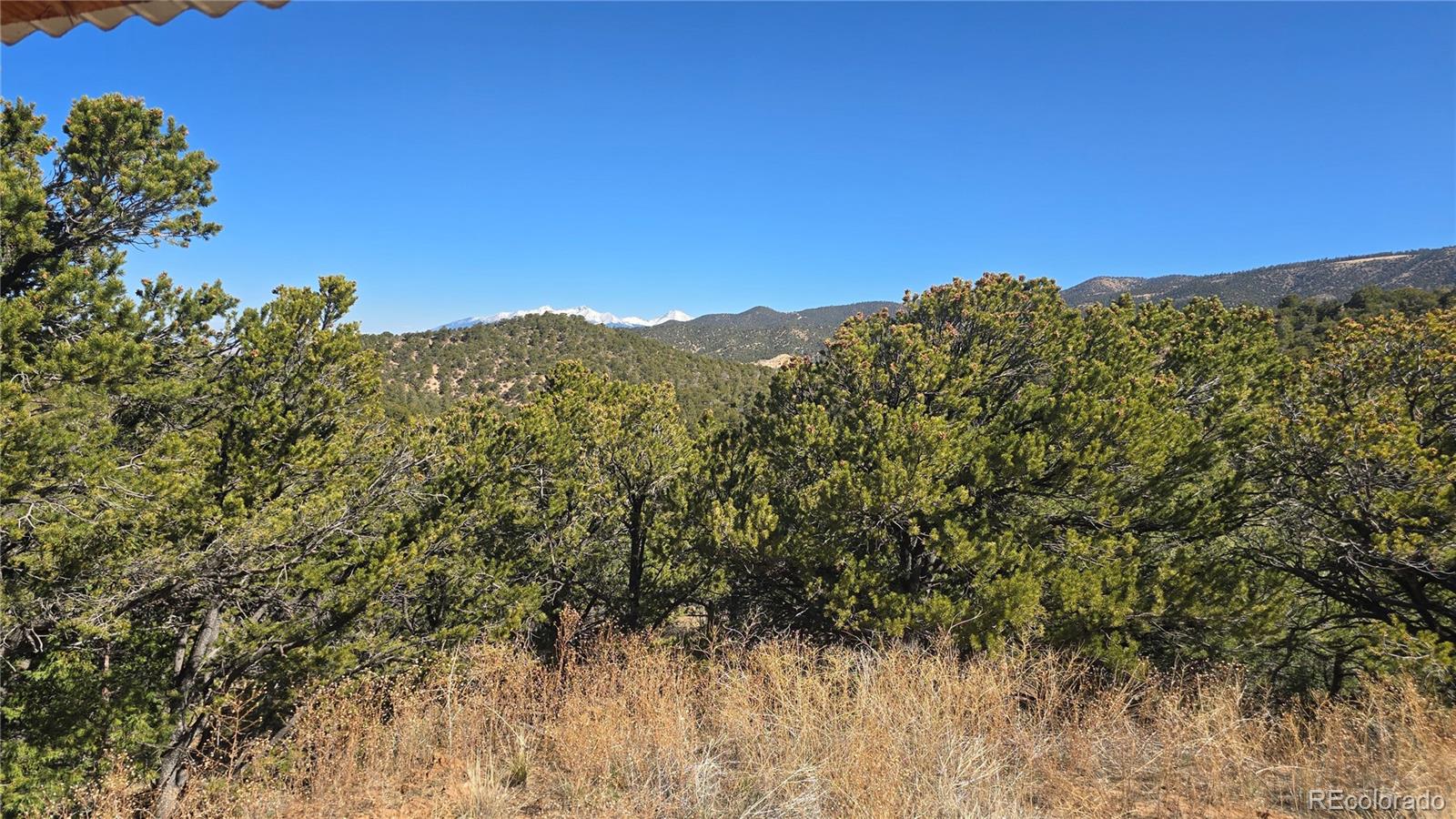 Lot 5996 Rod Road San Luis, CO 81152 - Photo 8 of 27 Gallery Image 8