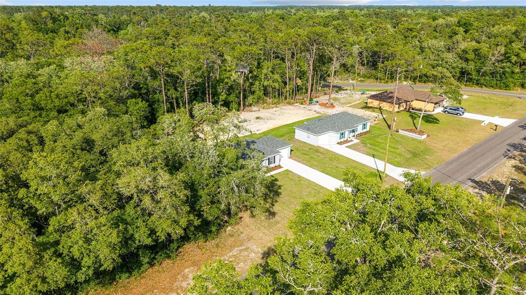 358 Locust Road Ocala, FL 34472 - Photo 34 of 48 a view of a yard with an outdoor space