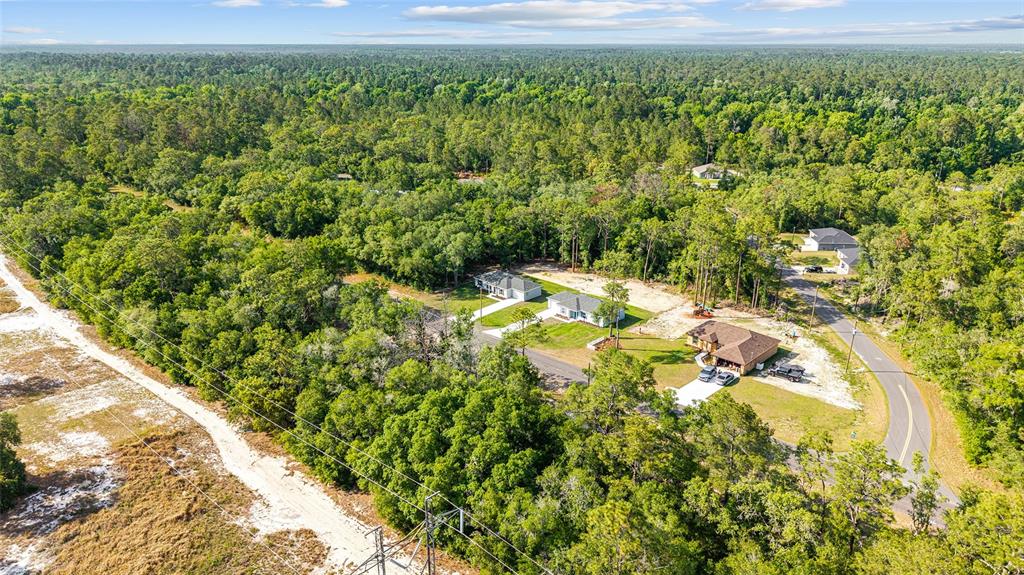 358 Locust Road Ocala, FL 34472 - Photo 36 of 48 a view of a yard with a tree