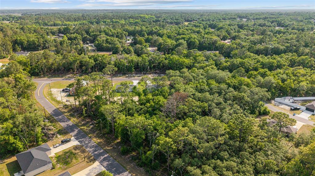 358 Locust Road Ocala, FL 34472 - Photo 45 of 48 an aerial view of residential houses with outdoor space and trees