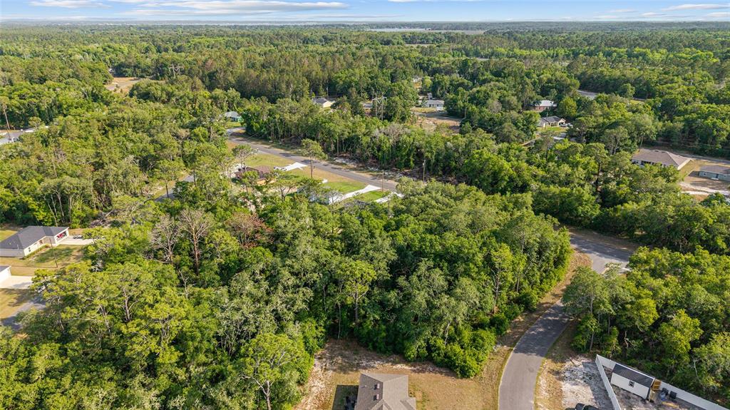 358 Locust Road Ocala, FL 34472 - Photo 46 of 48