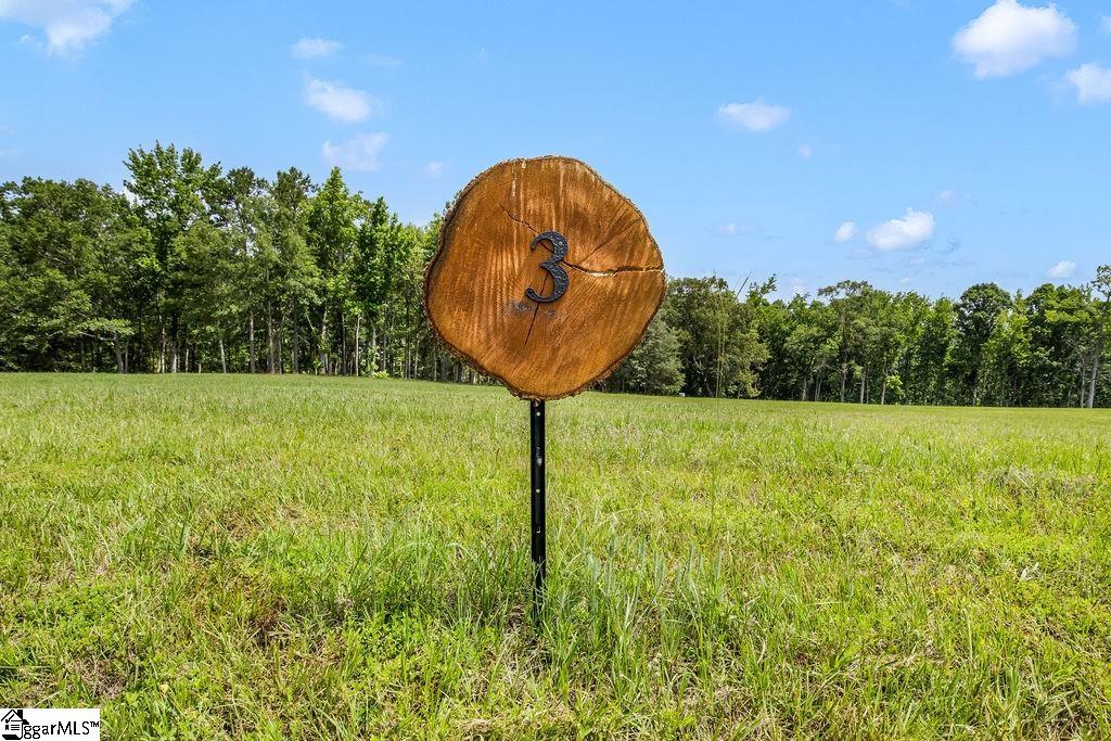 130 Flowing Rock Road, Unit LOT 3 Honea Path, SC 29654 - Photo 8 of 8
