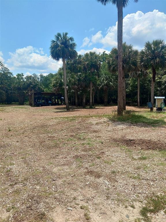 2730 Withlacoochee Point Geneva, FL 32732 - Photo 9 of 15 Gallery Image 9