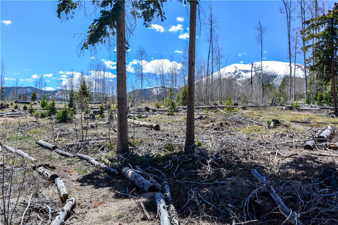 9042 Ryan Gulch Road Silverthorne, CO 80498 - Photo 12 of 14 National Forest in the back yard.