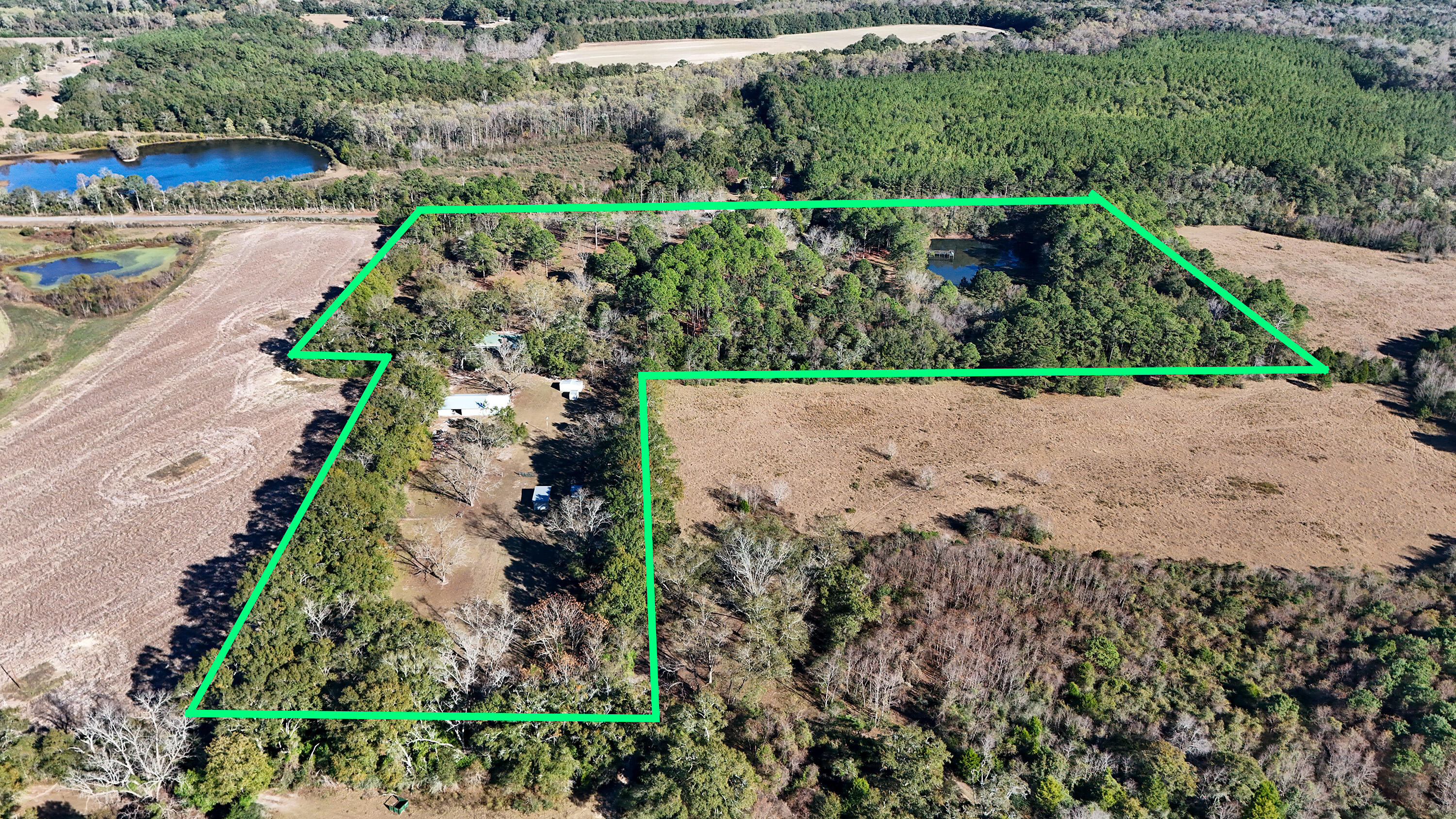1981 Parrish Road Florala, AL 36442 - Photo 2 of 59 DJI_20251112140815_0053_D
