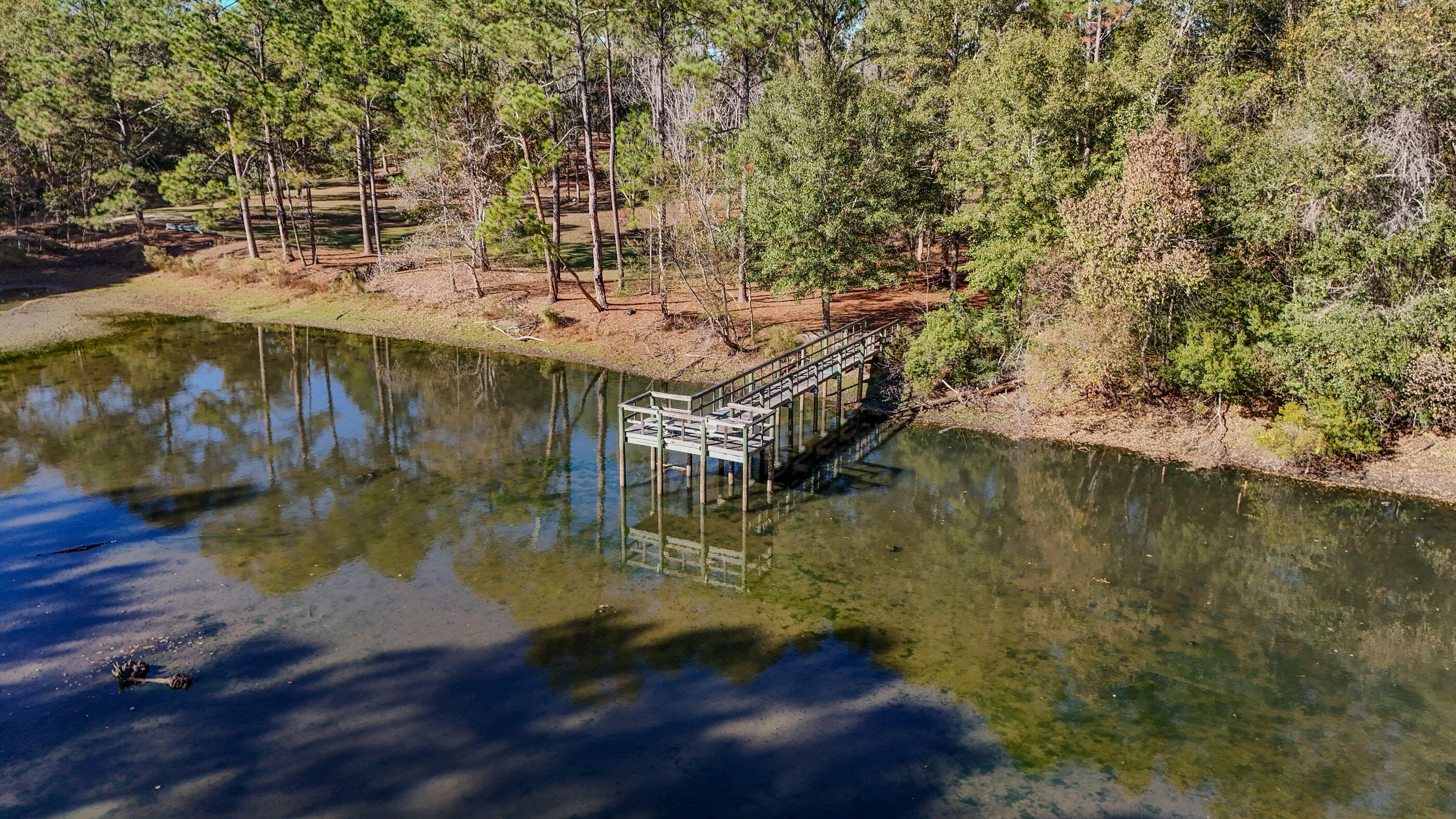 1981 Parrish Road Florala, AL 36442 - Photo 3 of 59 DJI_20251112140544_0043_D