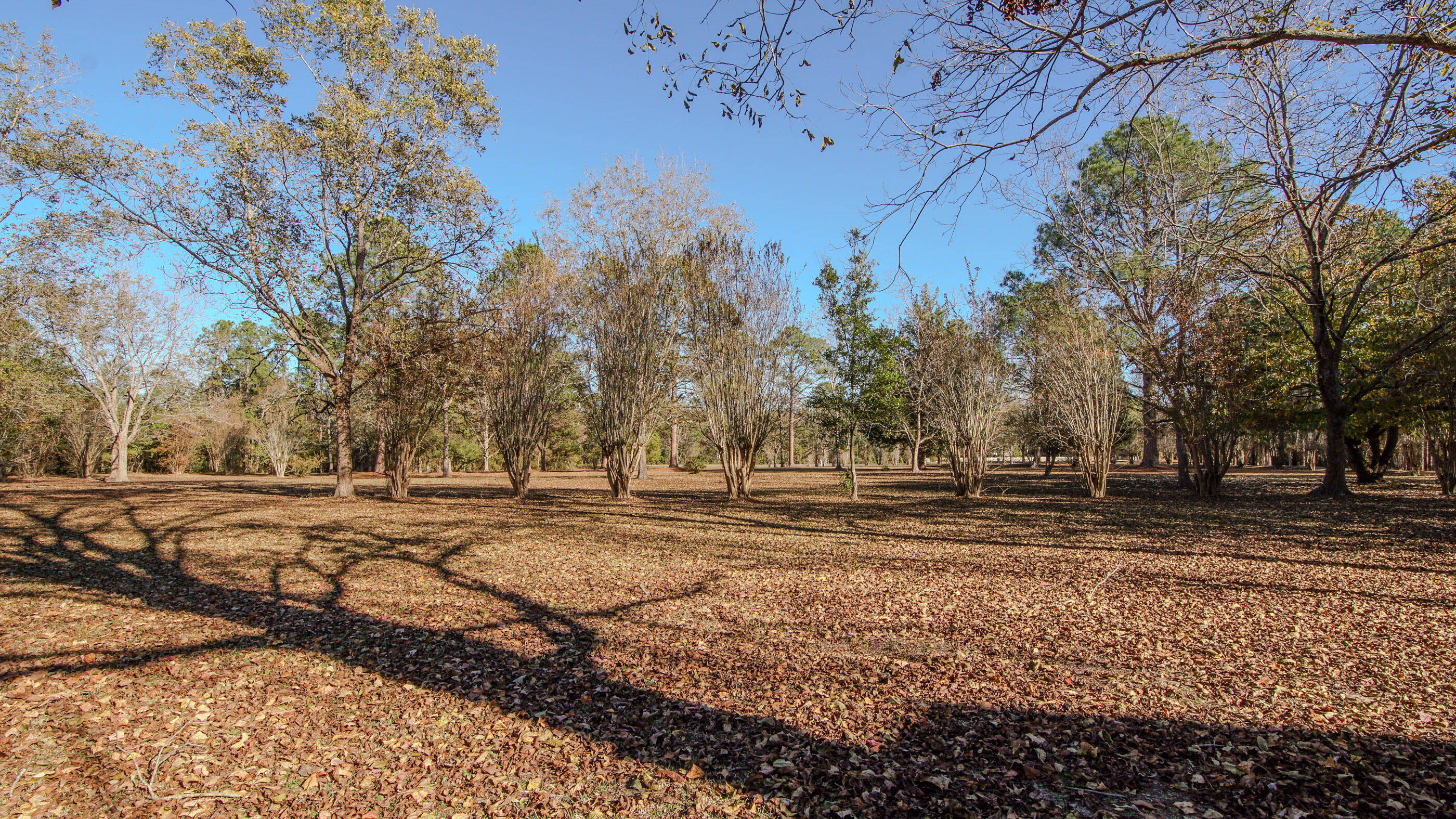 1981 Parrish Road Florala, AL 36442 - Photo 35 of 59 DSC07986