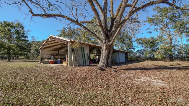 a view of a yard with plants and large trees