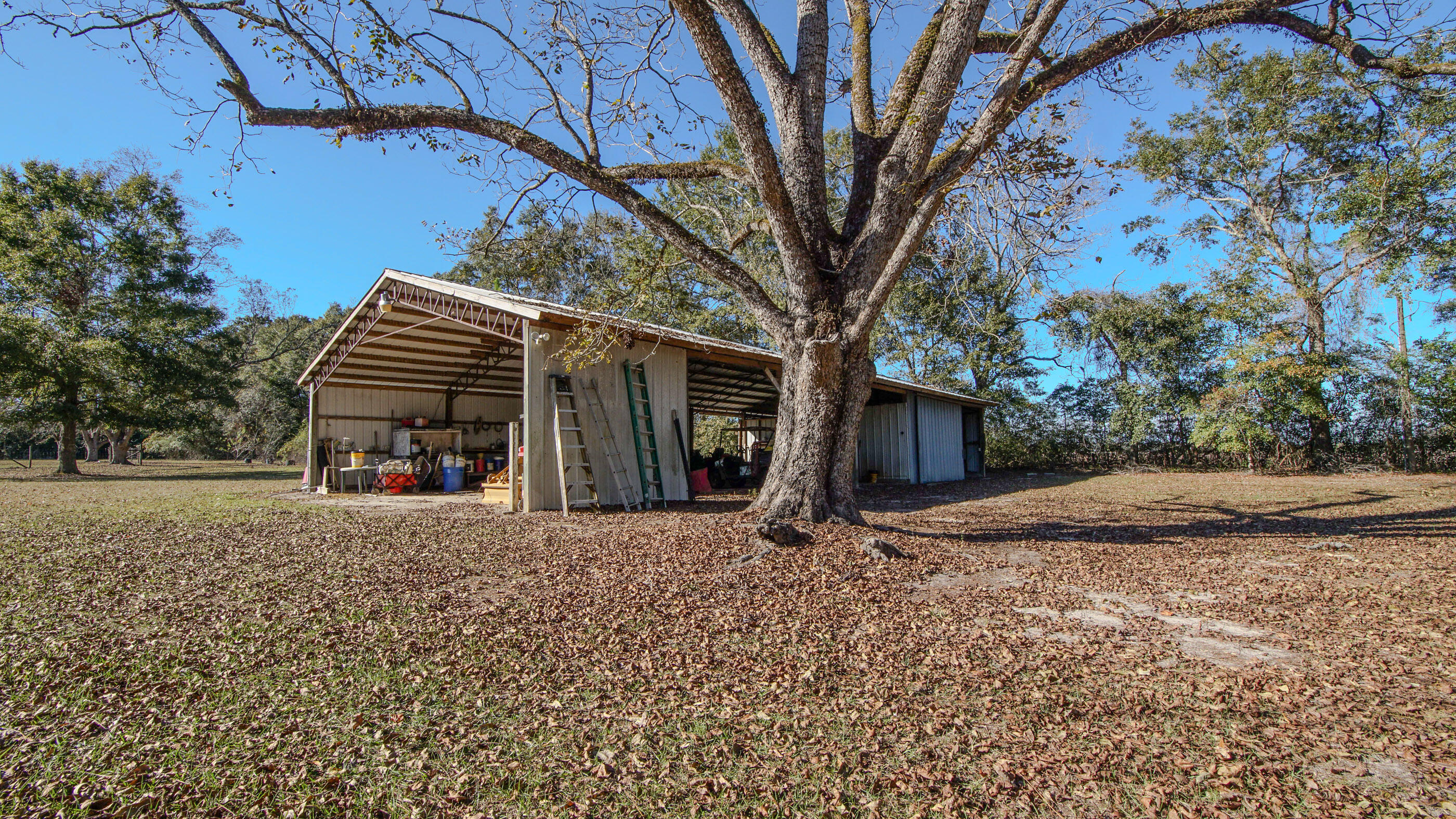 1981 Parrish Road Florala, AL 36442 - Photo 36 of 59 DSC07968