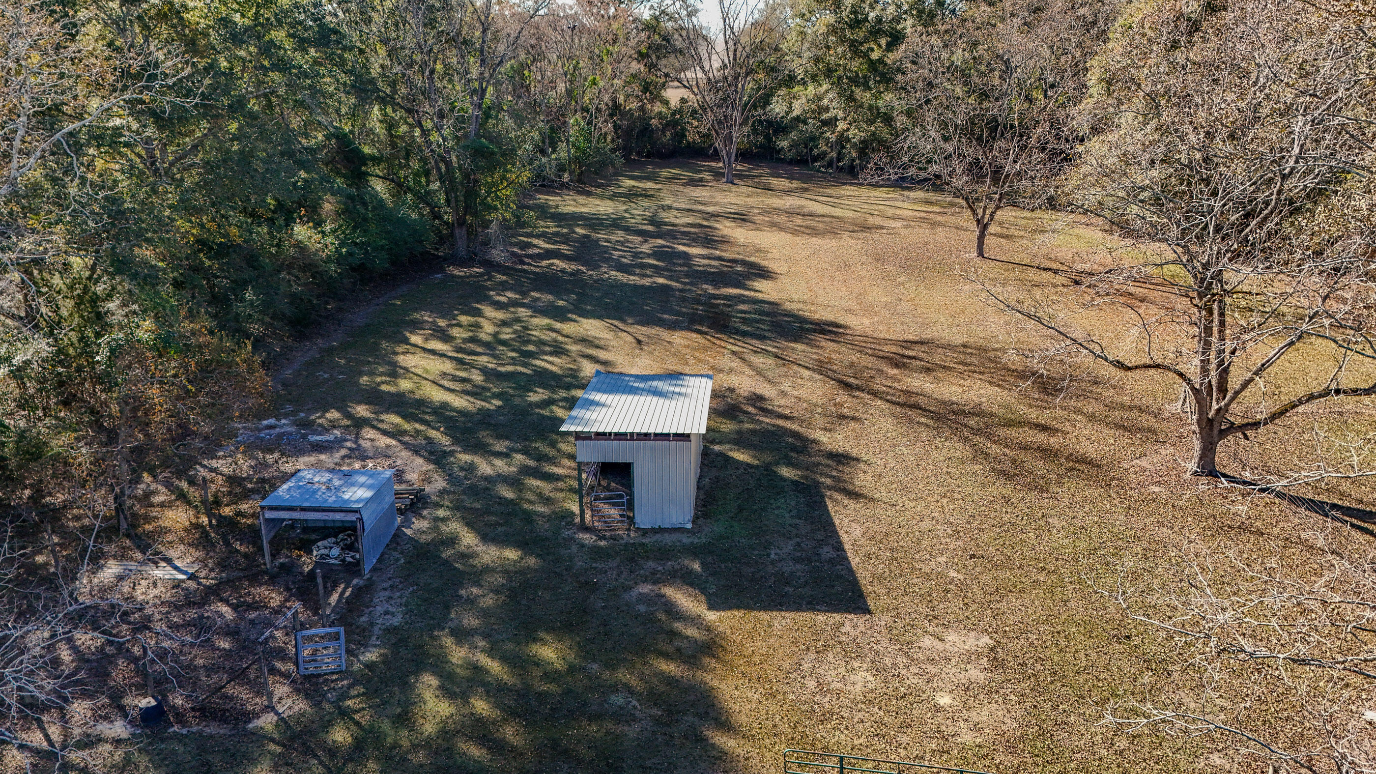 1981 Parrish Road Florala, AL 36442 - Photo 37 of 59 DJI_20251112140734_0051_D