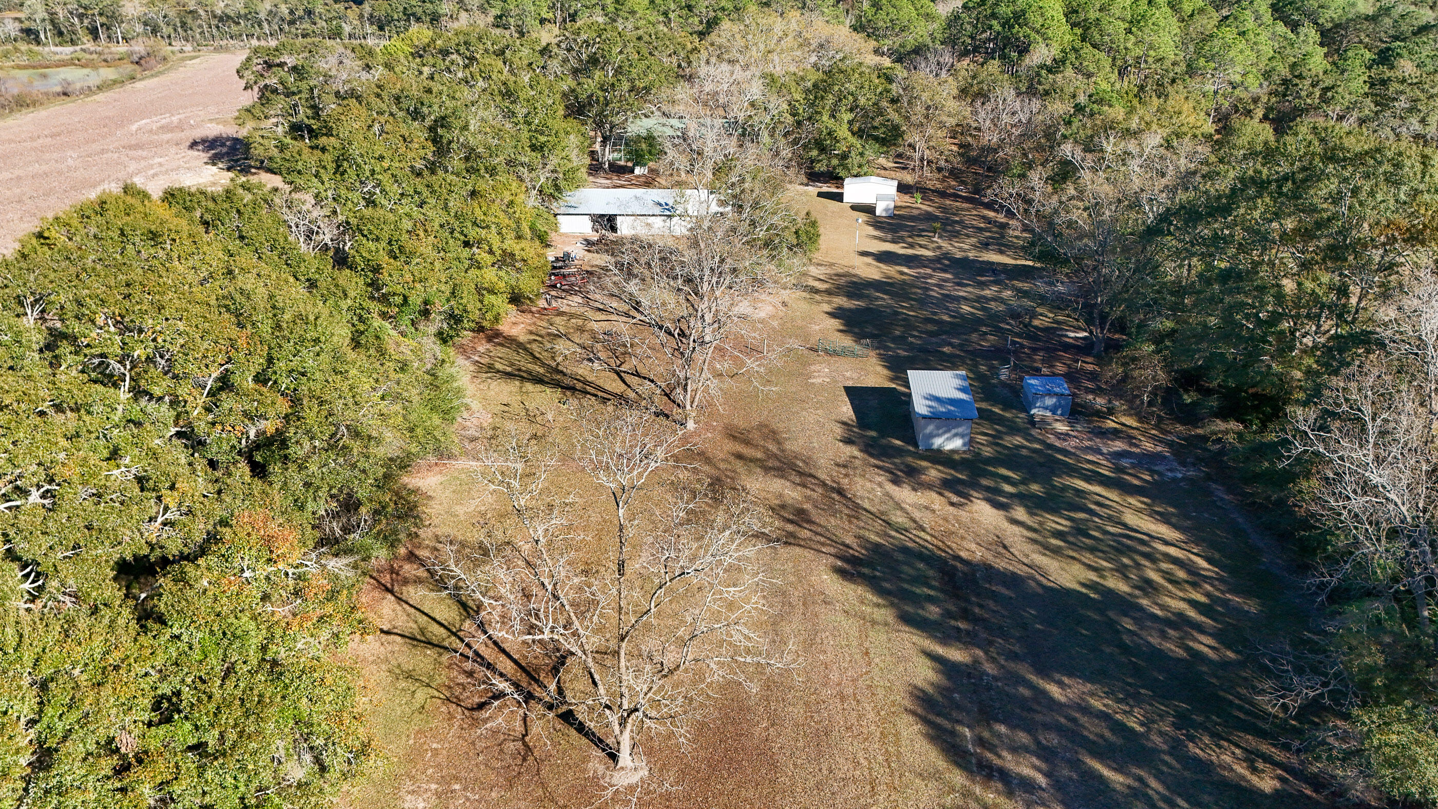 1981 Parrish Road Florala, AL 36442 - Photo 39 of 59 DJI_20251112140751_0052_D